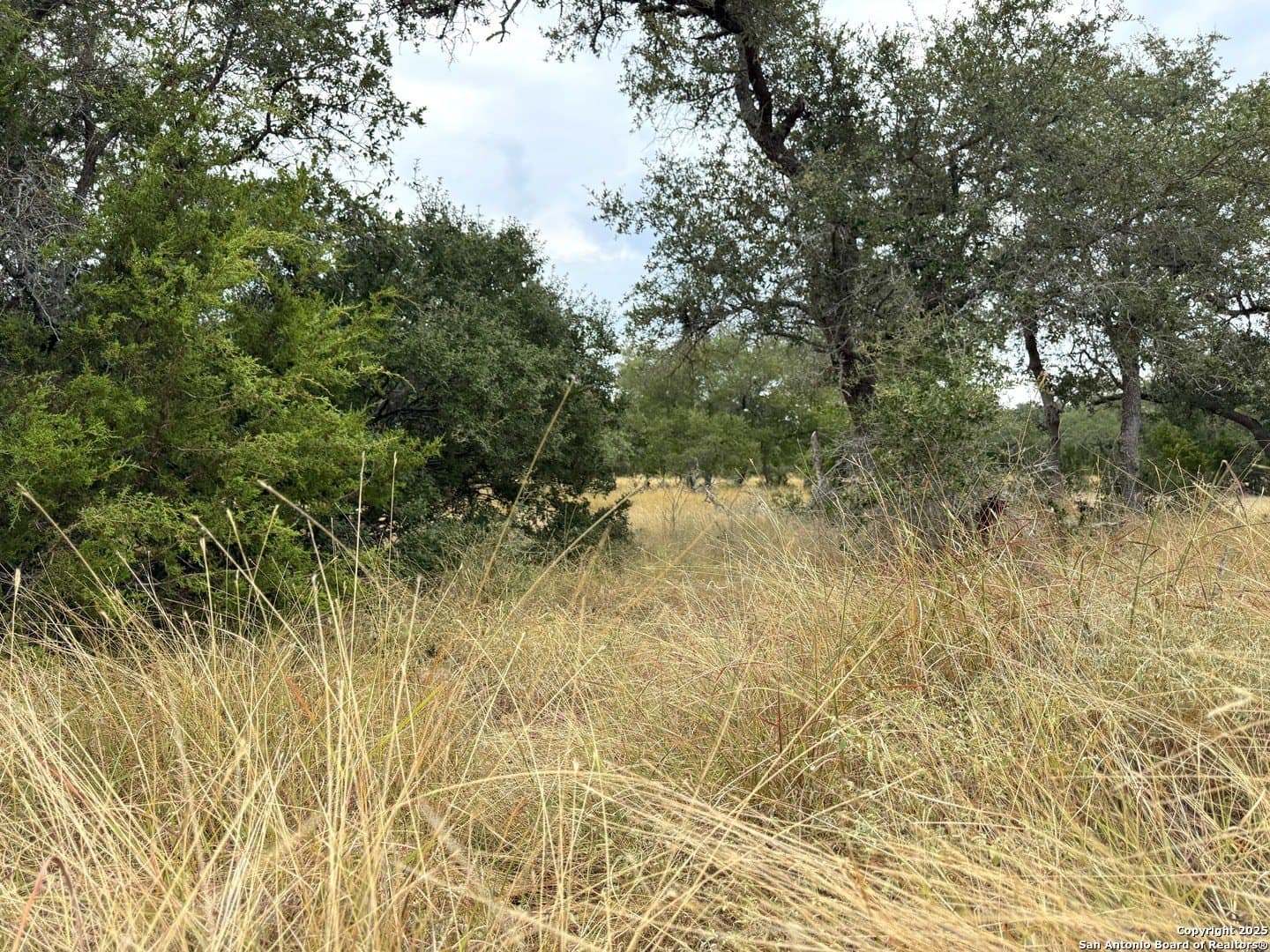0.2 acres in Blanco County - photo 6