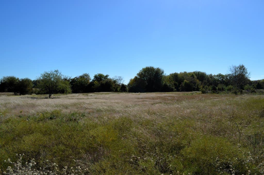 22.01 acres in Van Zandt County gallery image 2