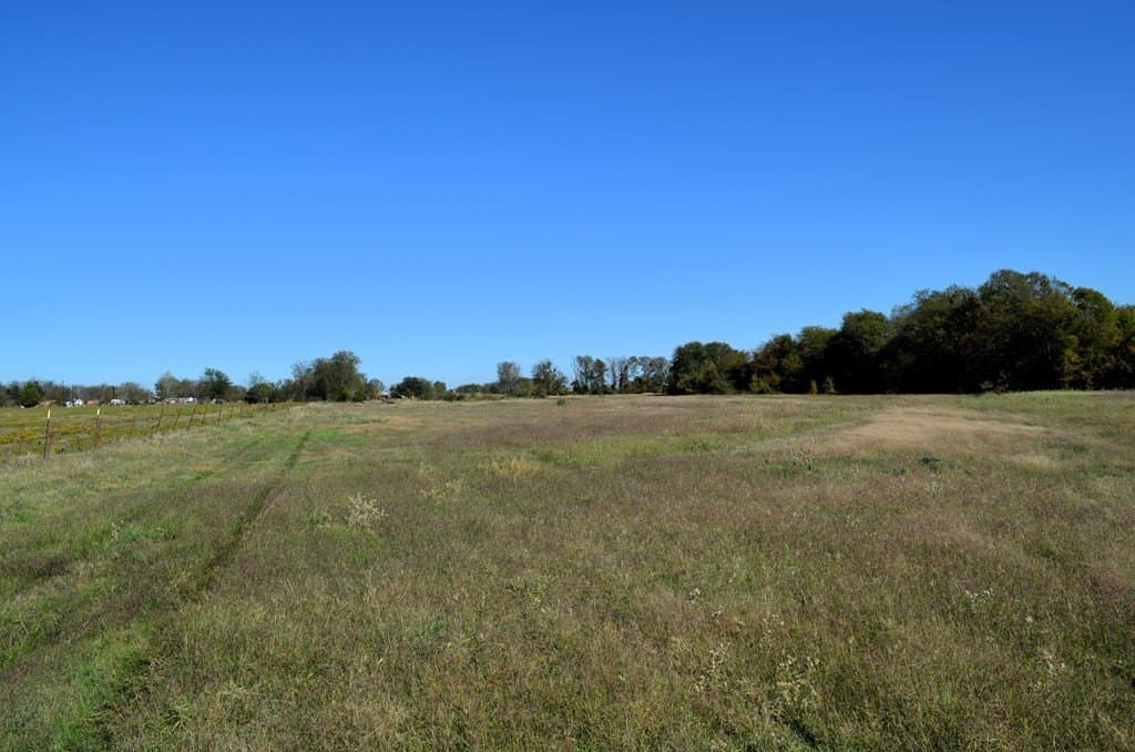 22.01 acres in Van Zandt County gallery image 4