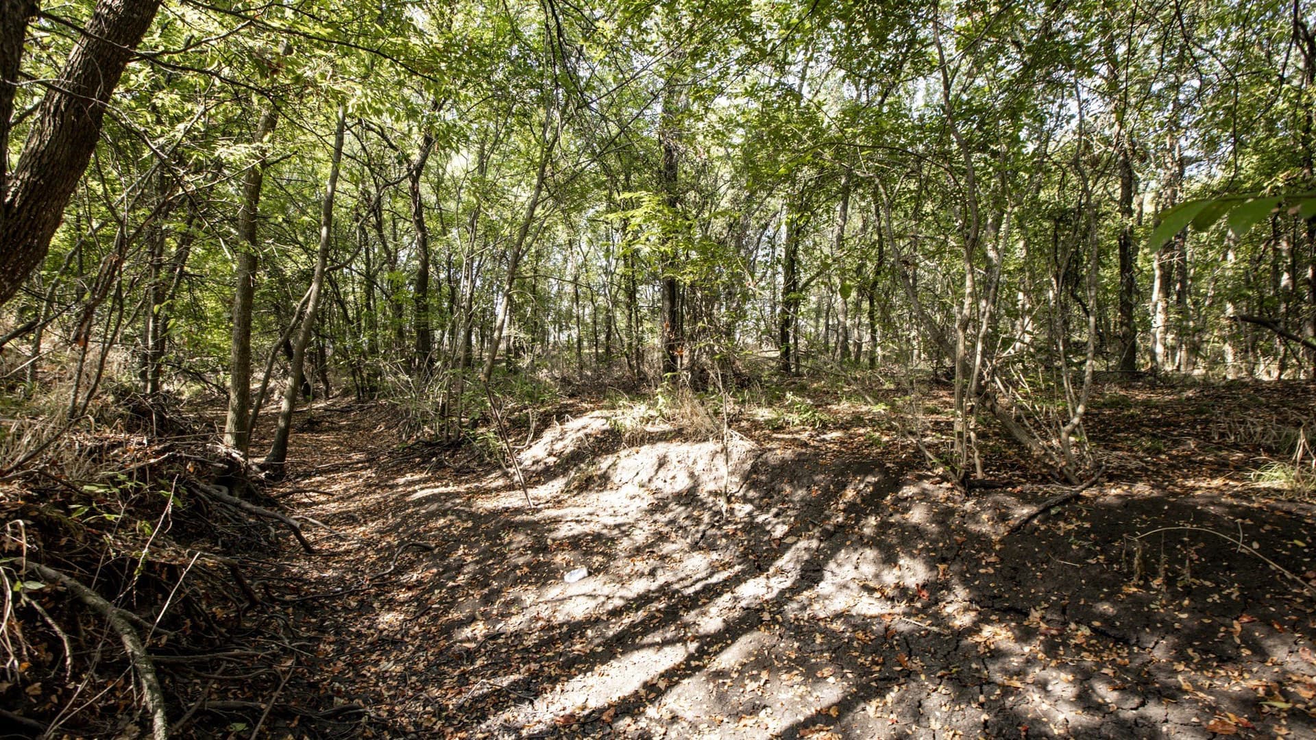 1.89 acres in Hunt County - photo 16