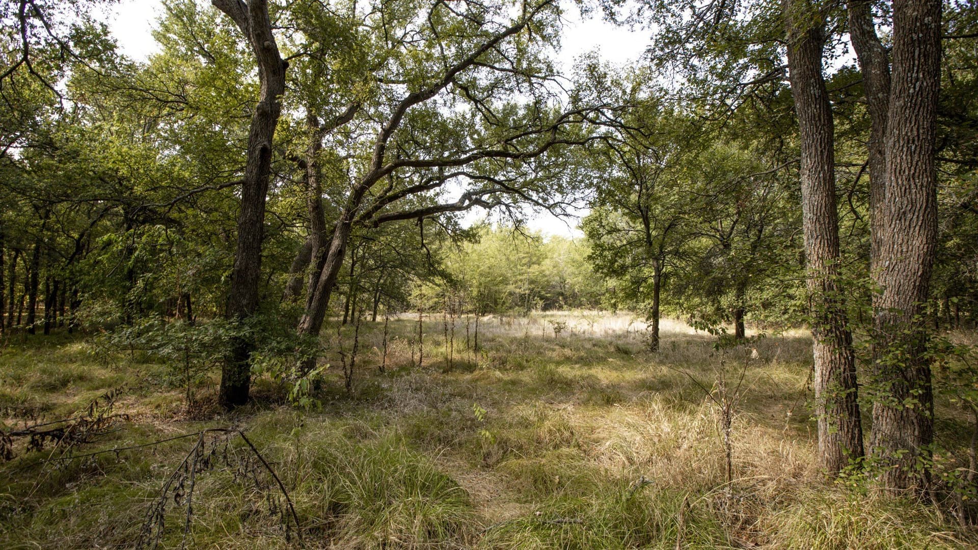 1.89 acres in Hunt County - photo 15