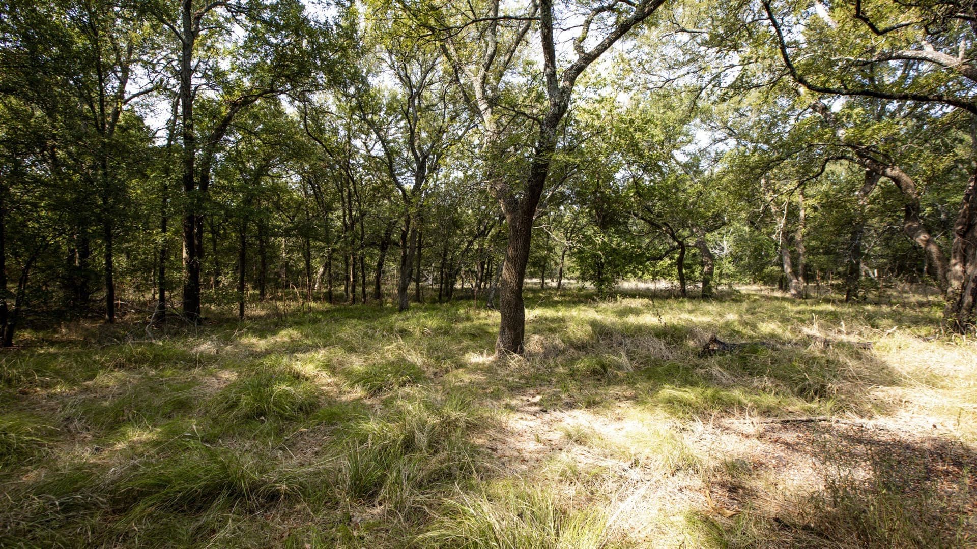 1.89 acres in Hunt County - photo 14