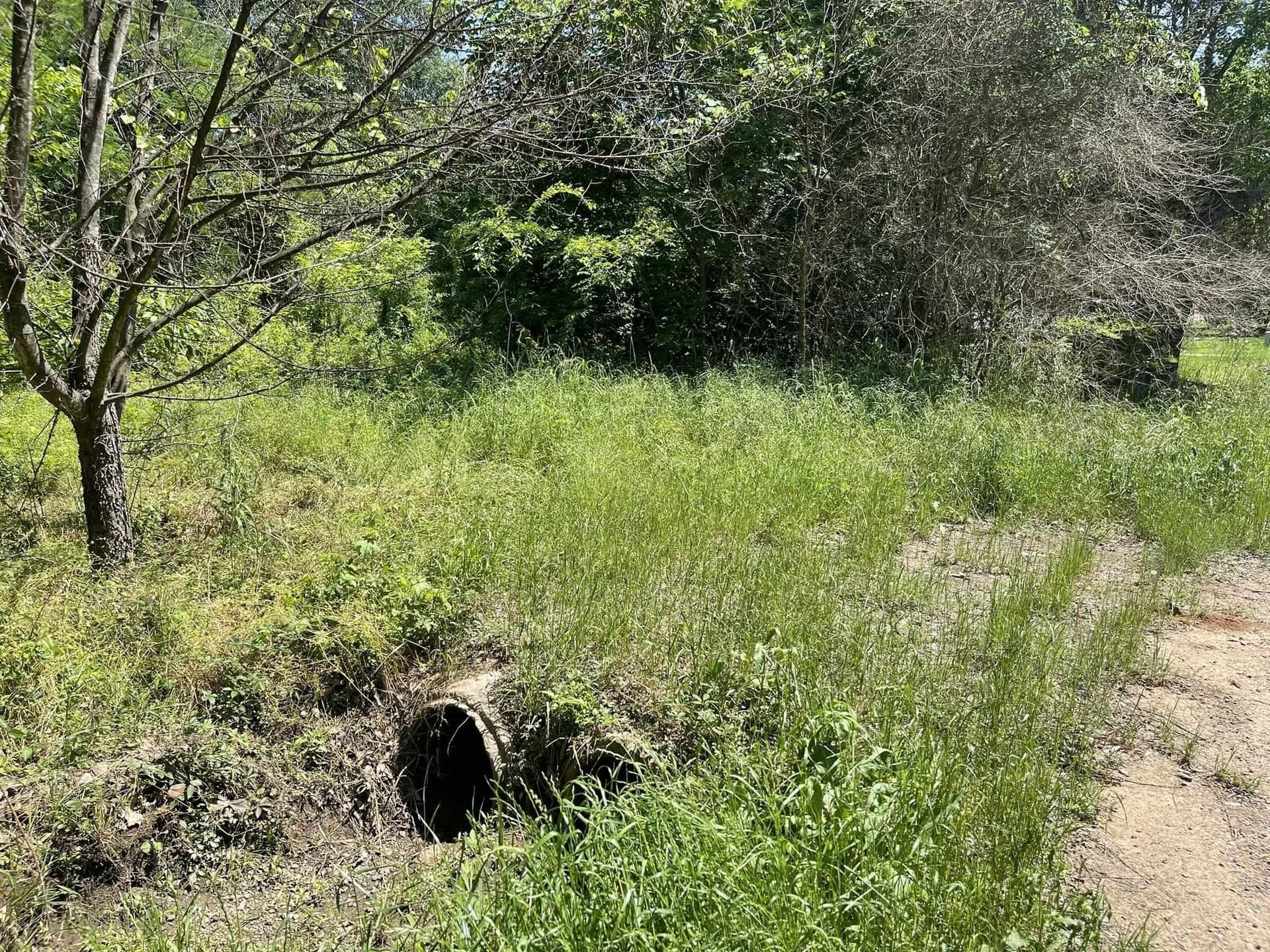 0.46 acres in Texas County - photo 7