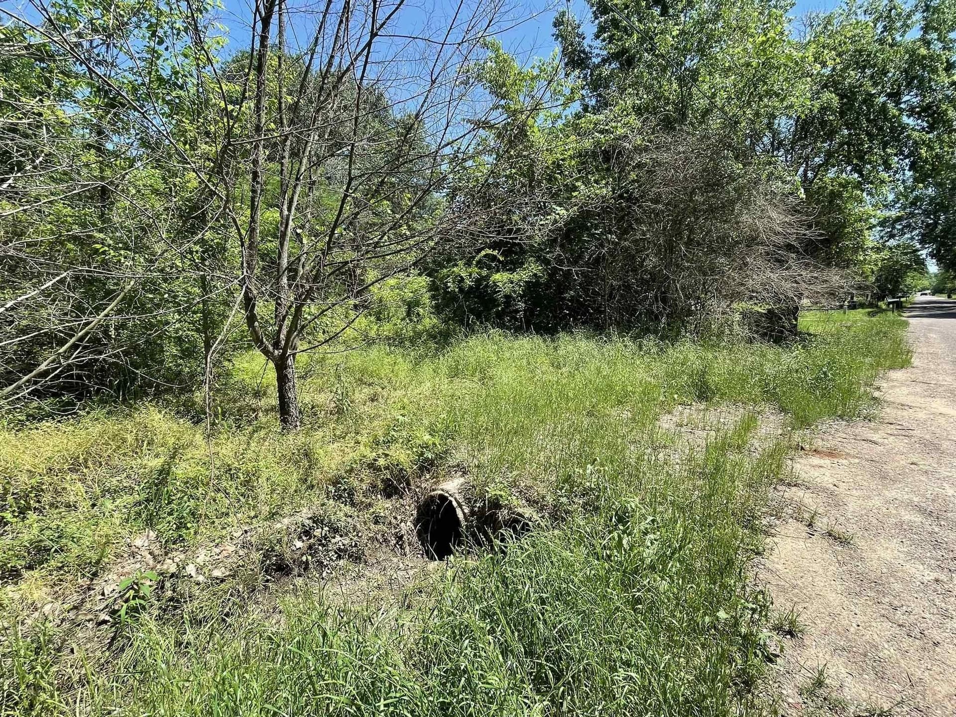 0.46 acres in Texas County - photo 8
