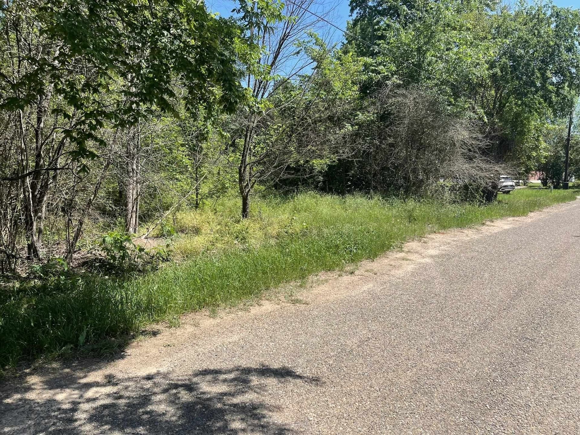 0.46 acres in Texas County gallery image 4