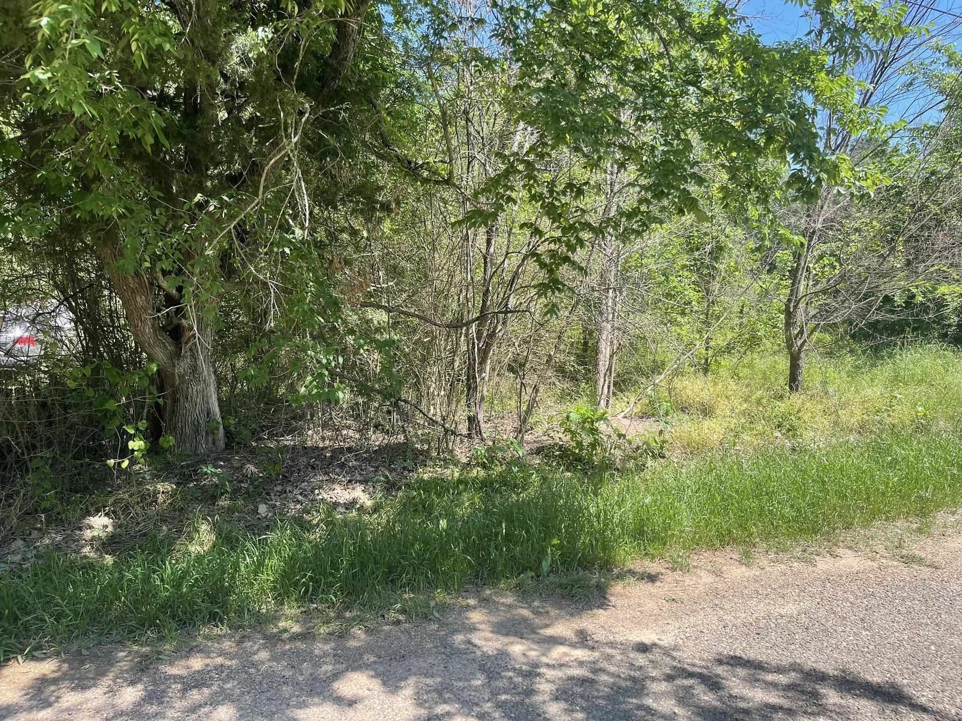 0.46 acres in Texas County gallery image 3