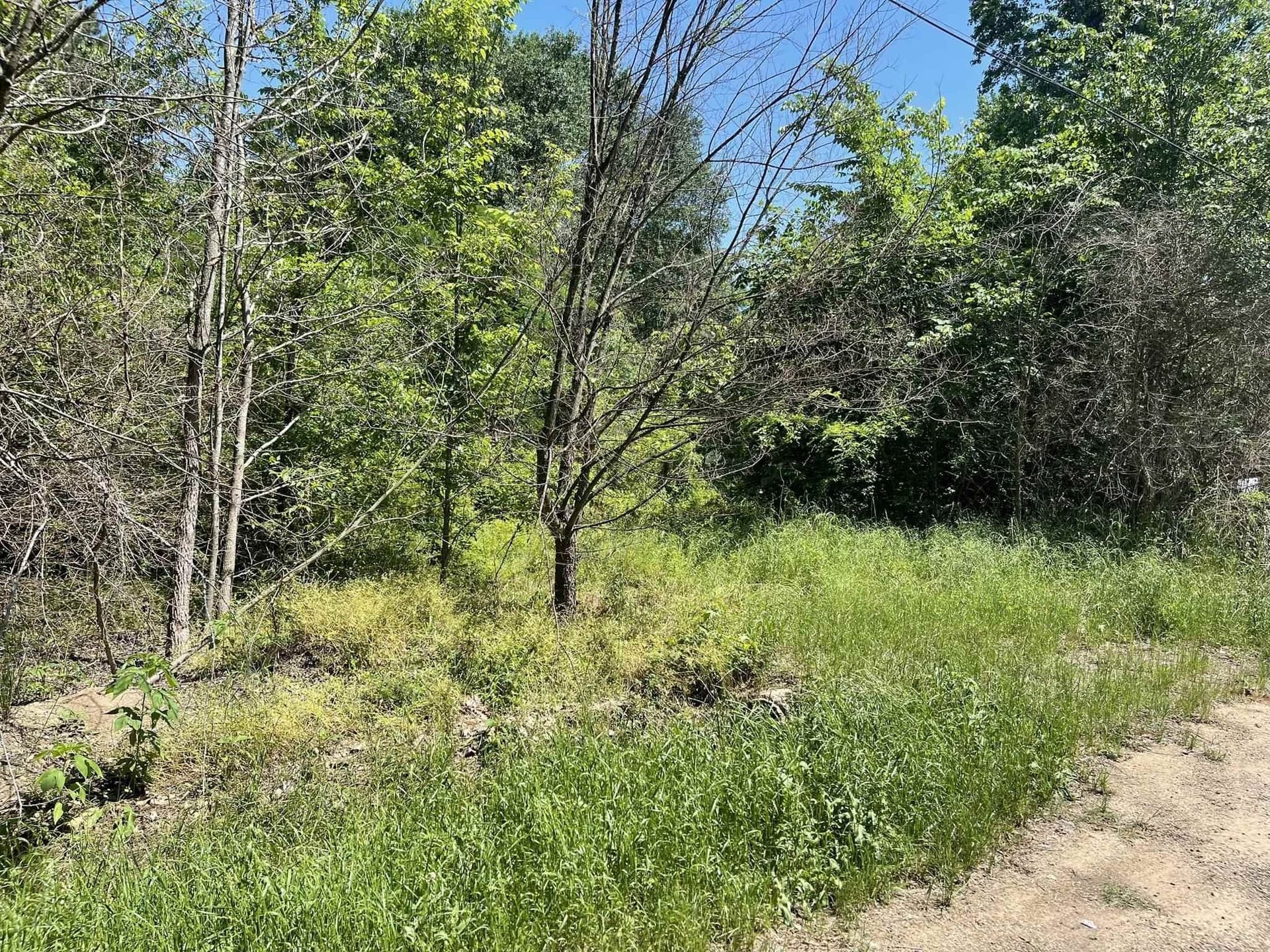 0.46 acres in Texas County - photo 6