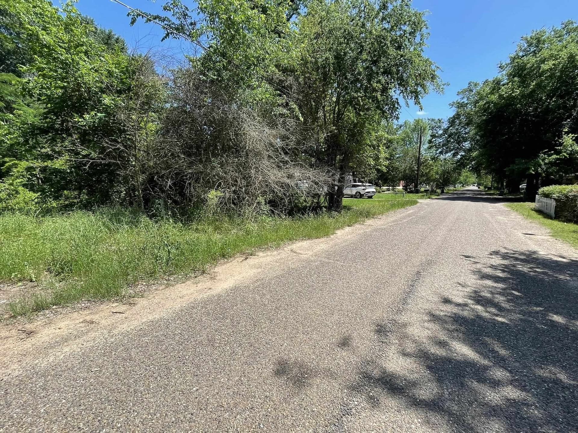 0.46 acres in Texas County - photo 9