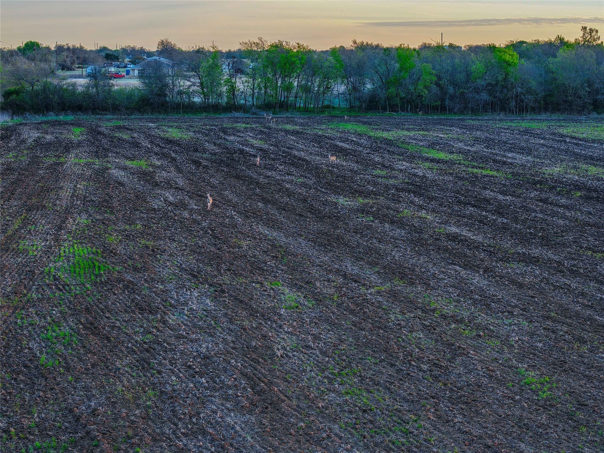 76.36 acres in Bell County - photo 21