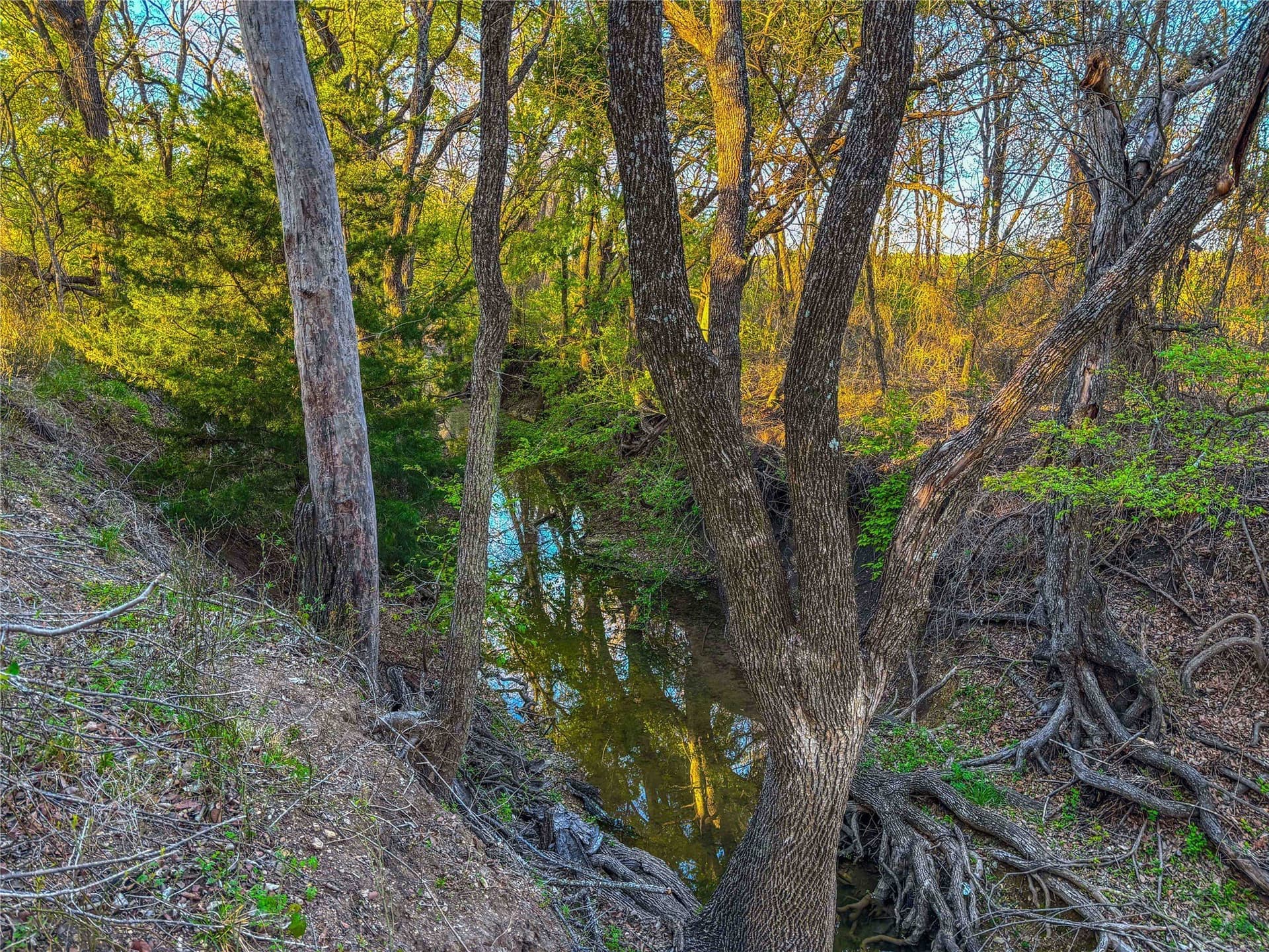 76.36 acres in Bell County - photo 26