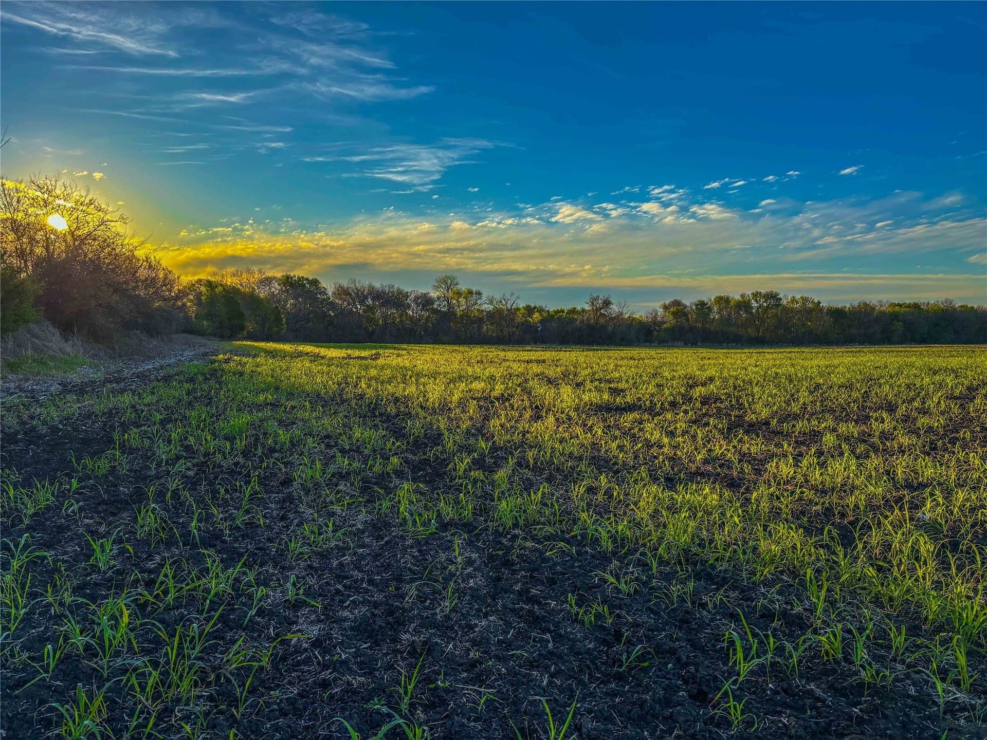 76.36 acres in Bell County - photo 19