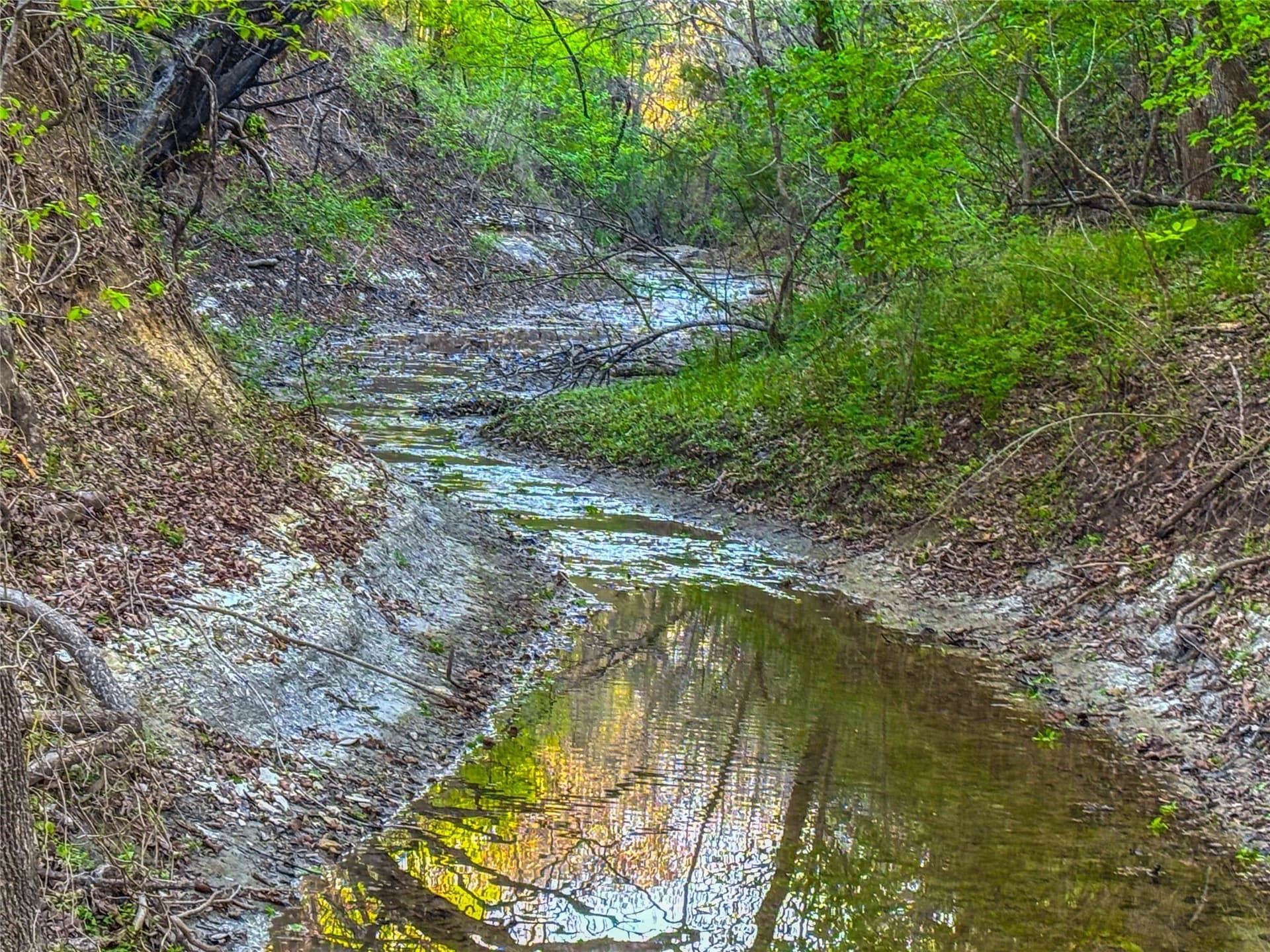 76.36 acres in Bell County - photo 30