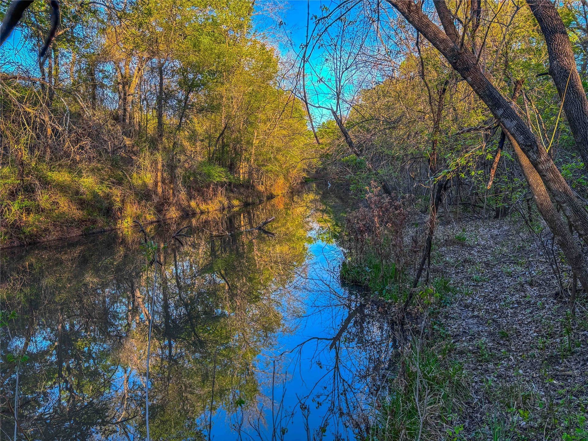 76.36 acres in Bell County - photo 18