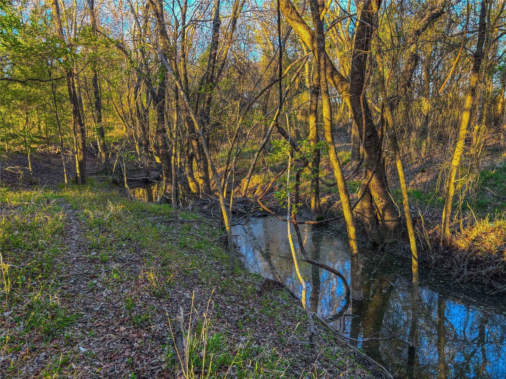 76.36 acres in Bell County - photo 17