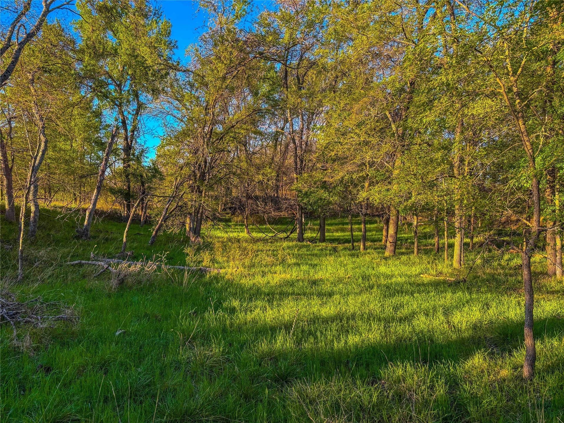 76.36 acres in Bell County - photo 27
