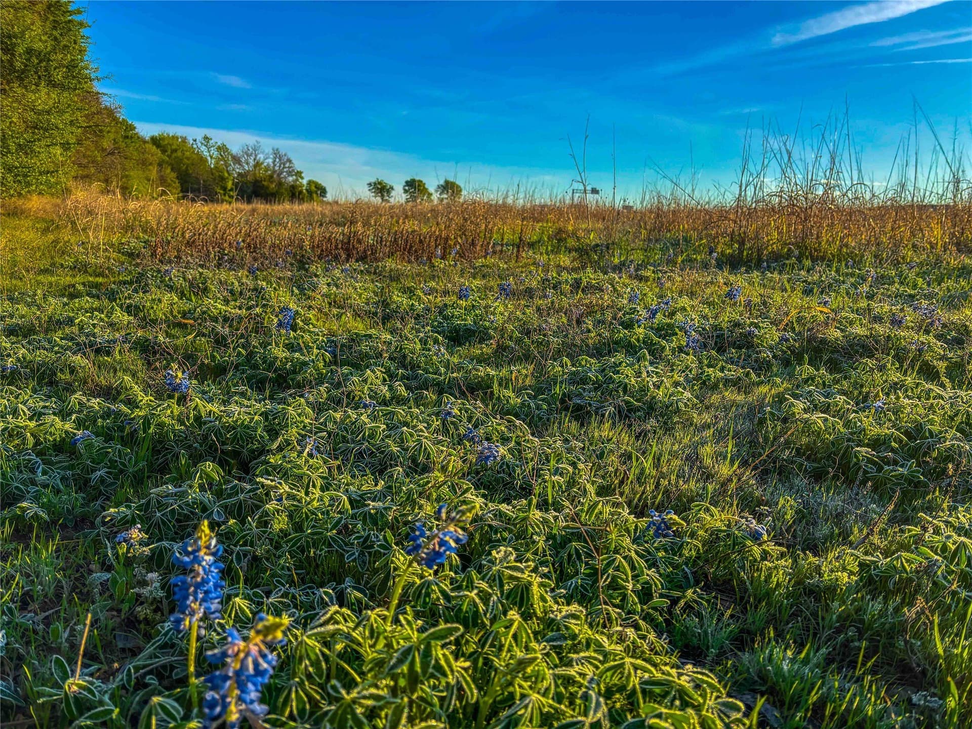 76.36 acres in Bell County - photo 24