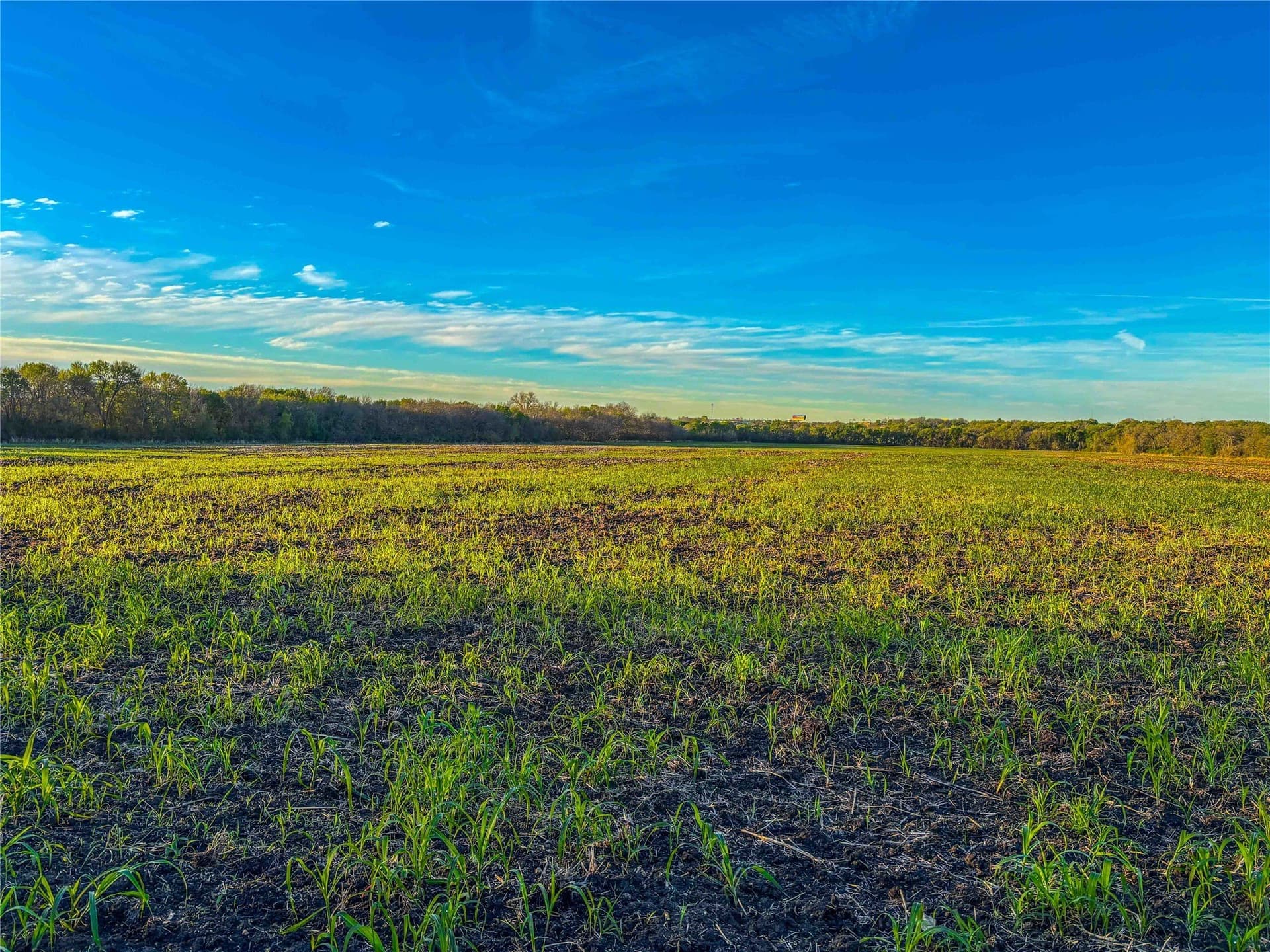 76.36 acres in Bell County - photo 23