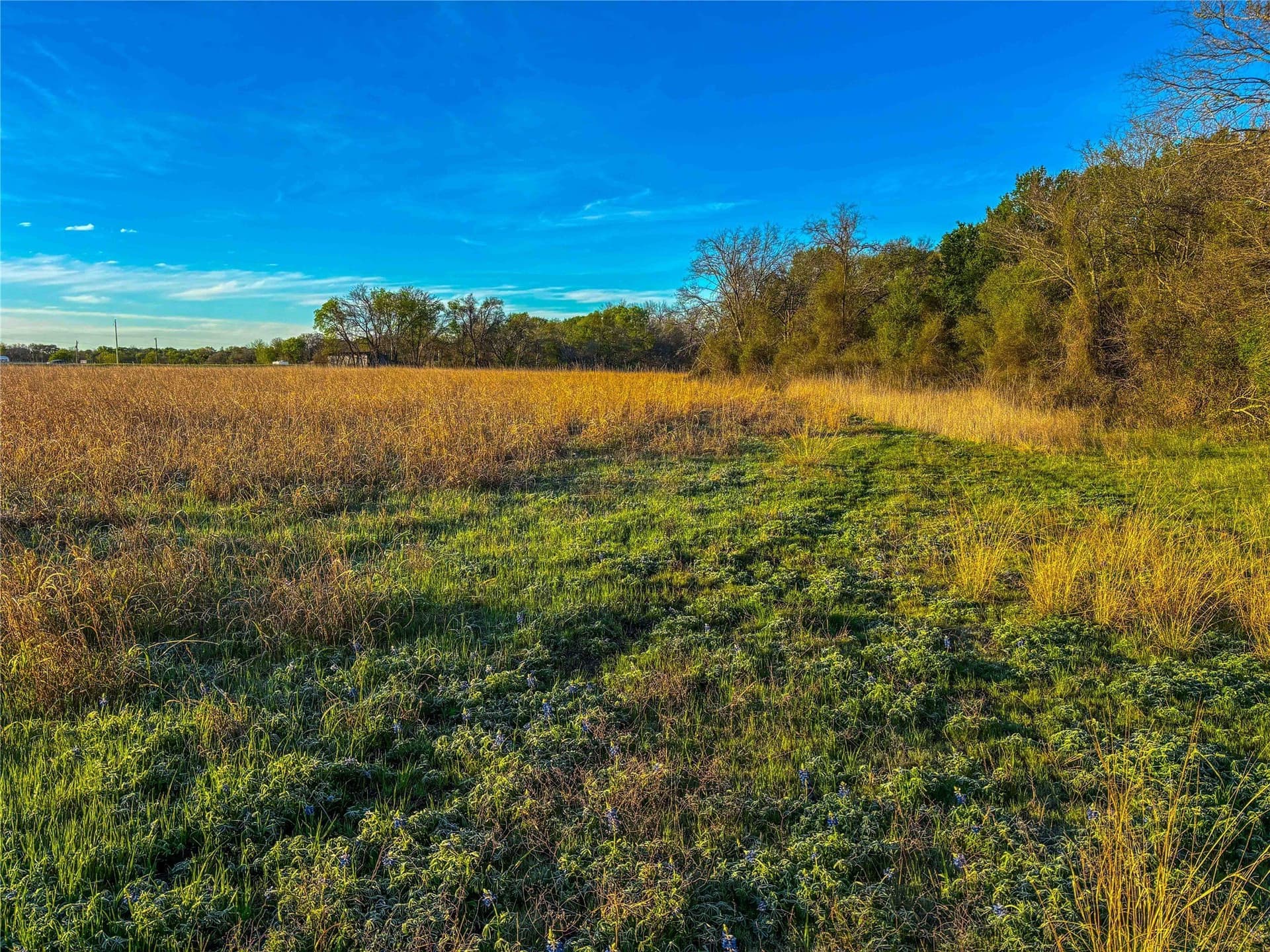 76.36 acres in Bell County - photo 25