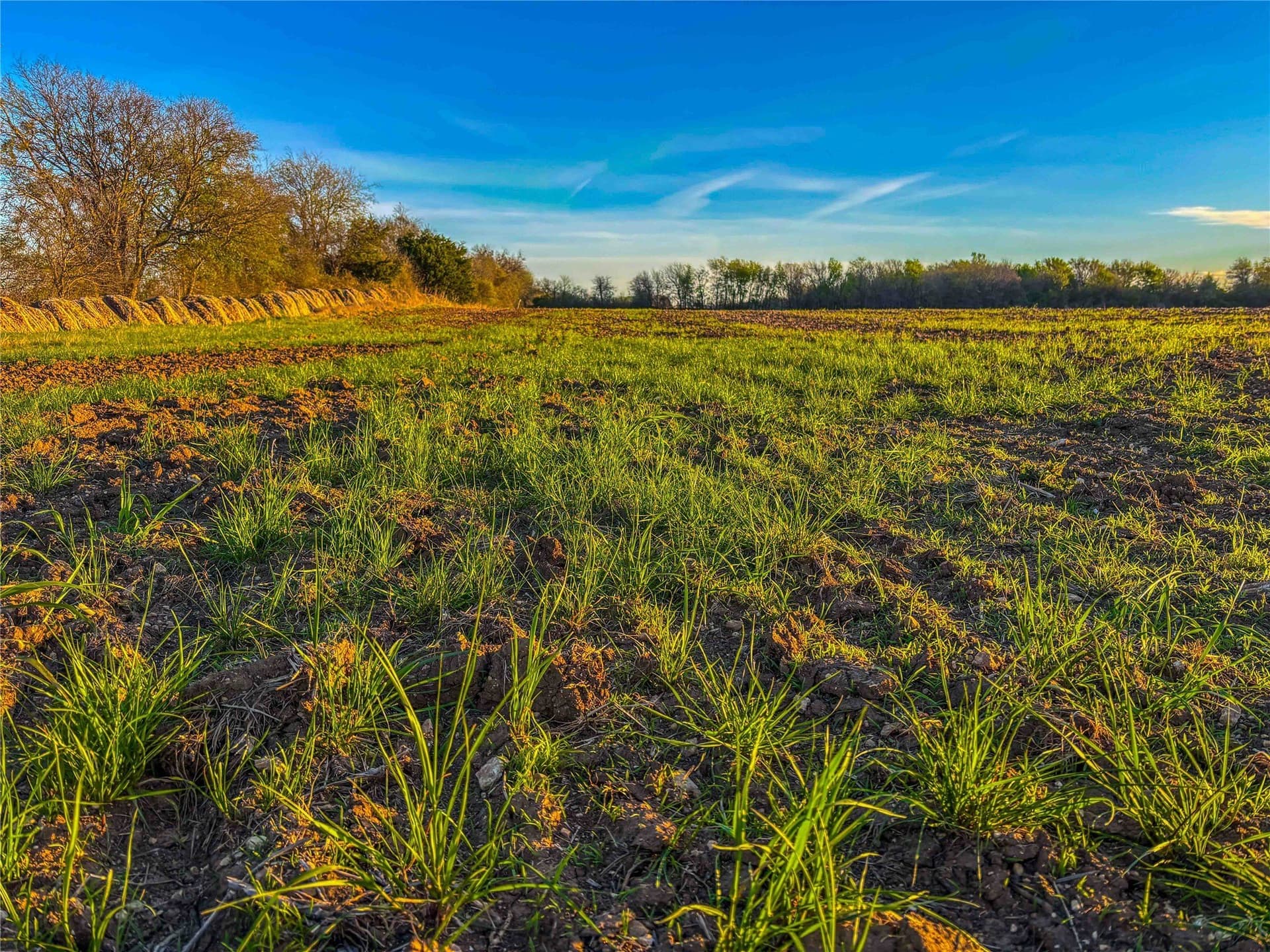 76.36 acres in Bell County - photo 22