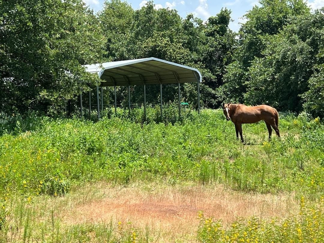 15.07 acres in Hill County - photo 9