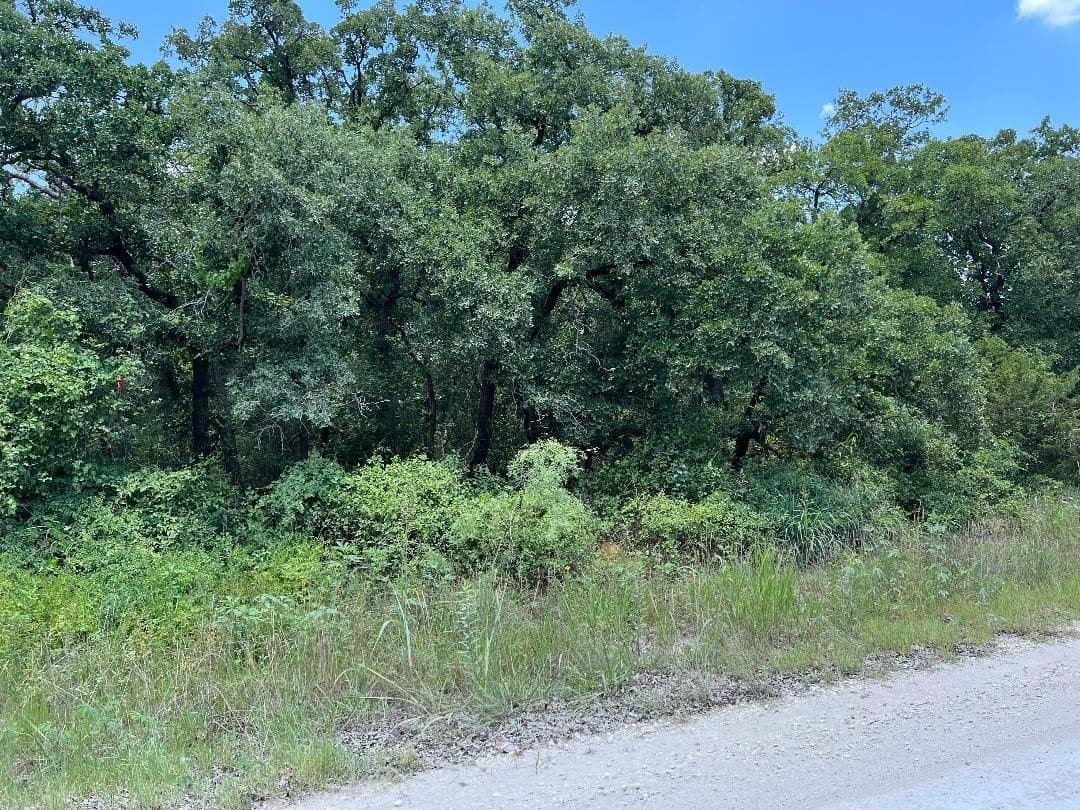 15.07 acres in Hill County - photo 5