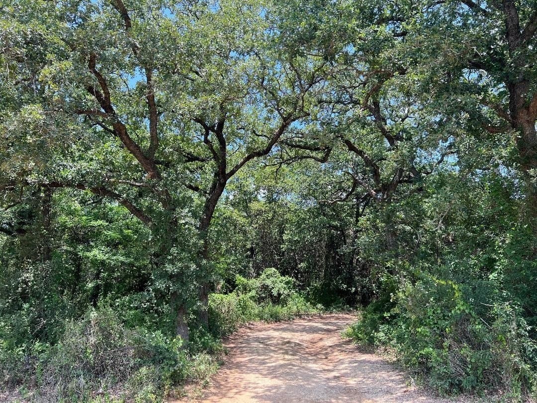 15.07 acres in Hill County - photo 22
