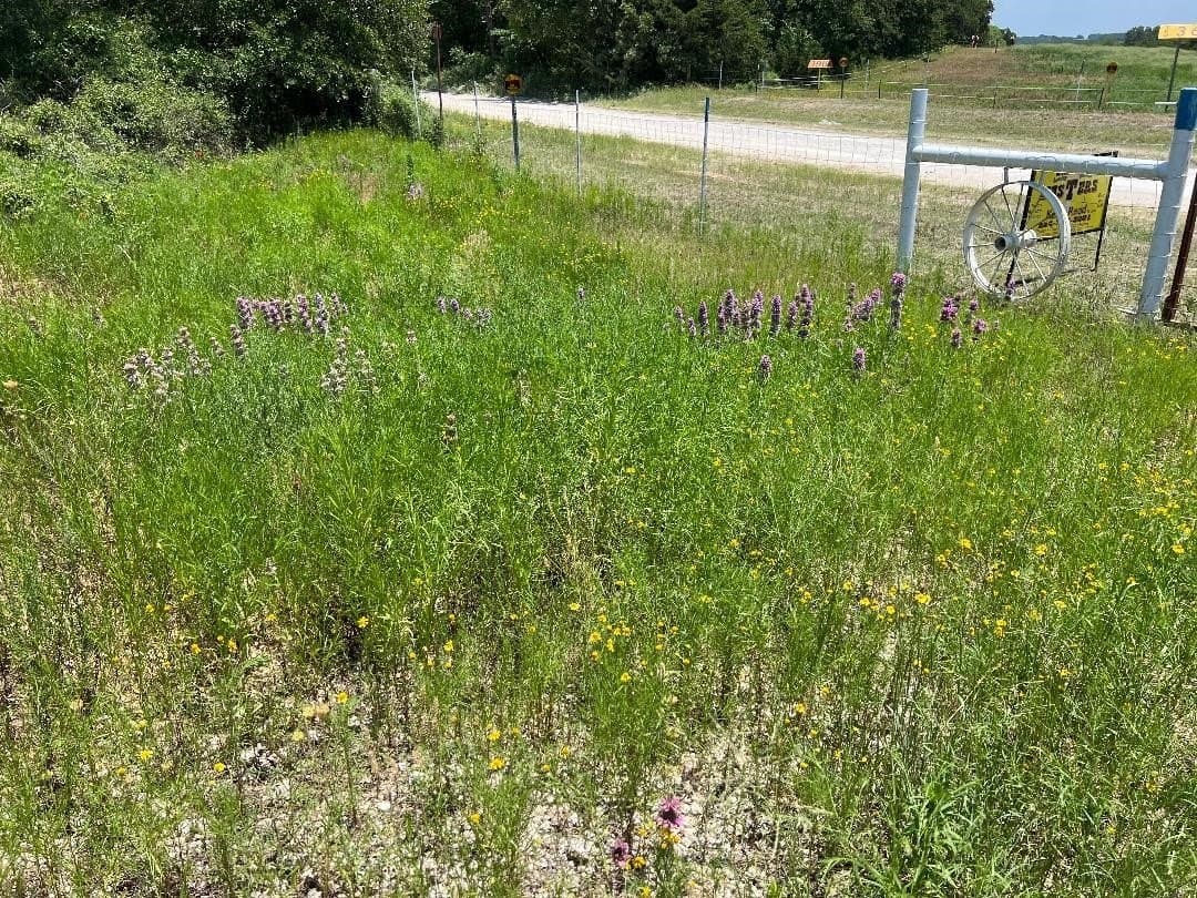 15.07 acres in Hill County - photo 12