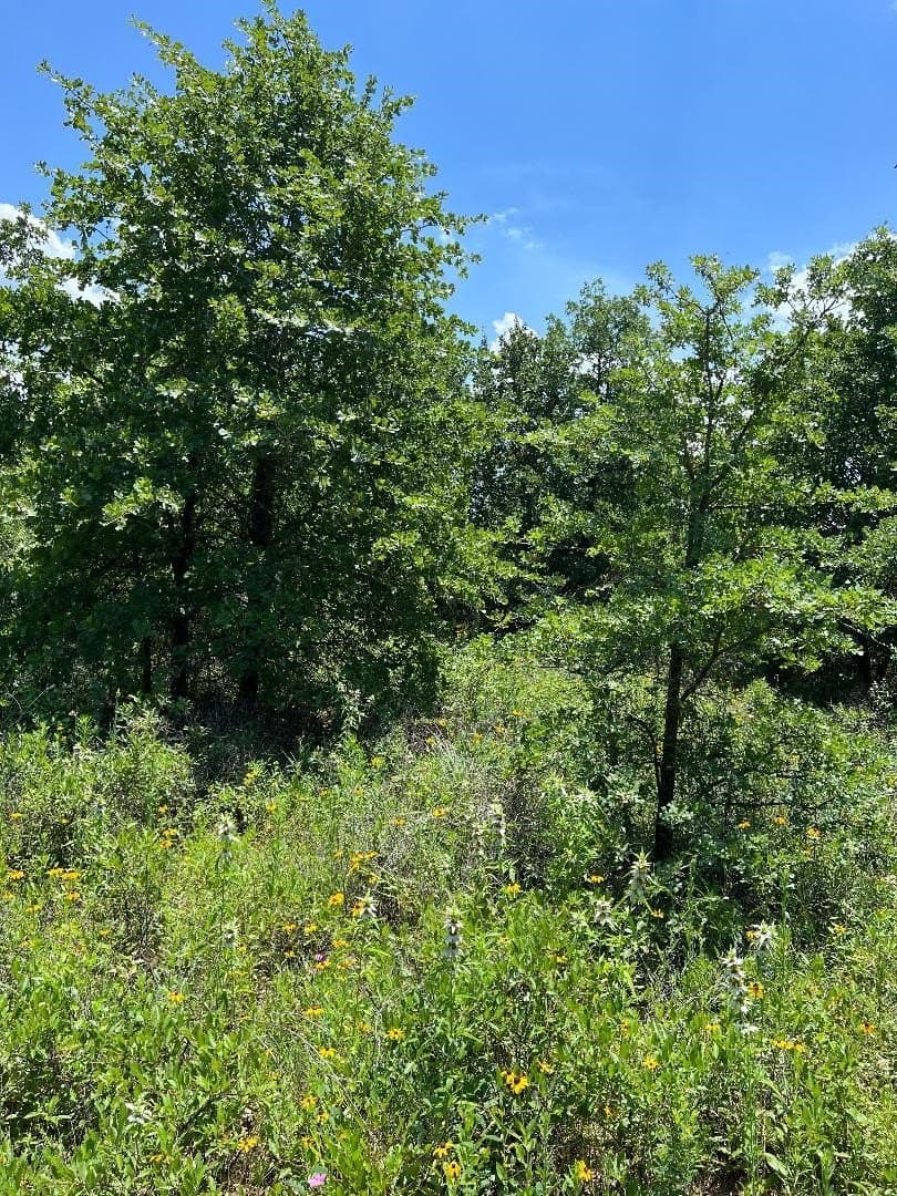 15.07 acres in Hill County - photo 18