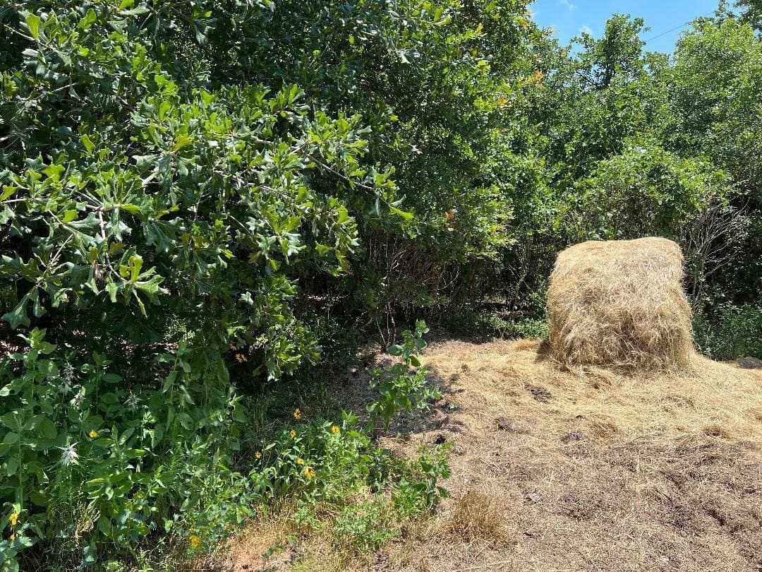 15.07 acres in Hill County - photo 19