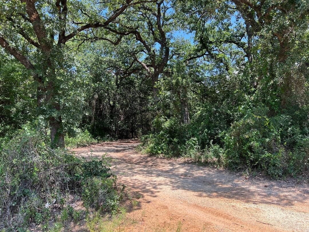 15.07 acres in Hill County - photo 11