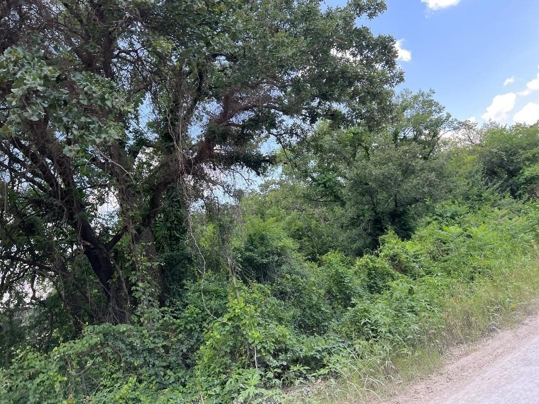 15.07 acres in Hill County - photo 3