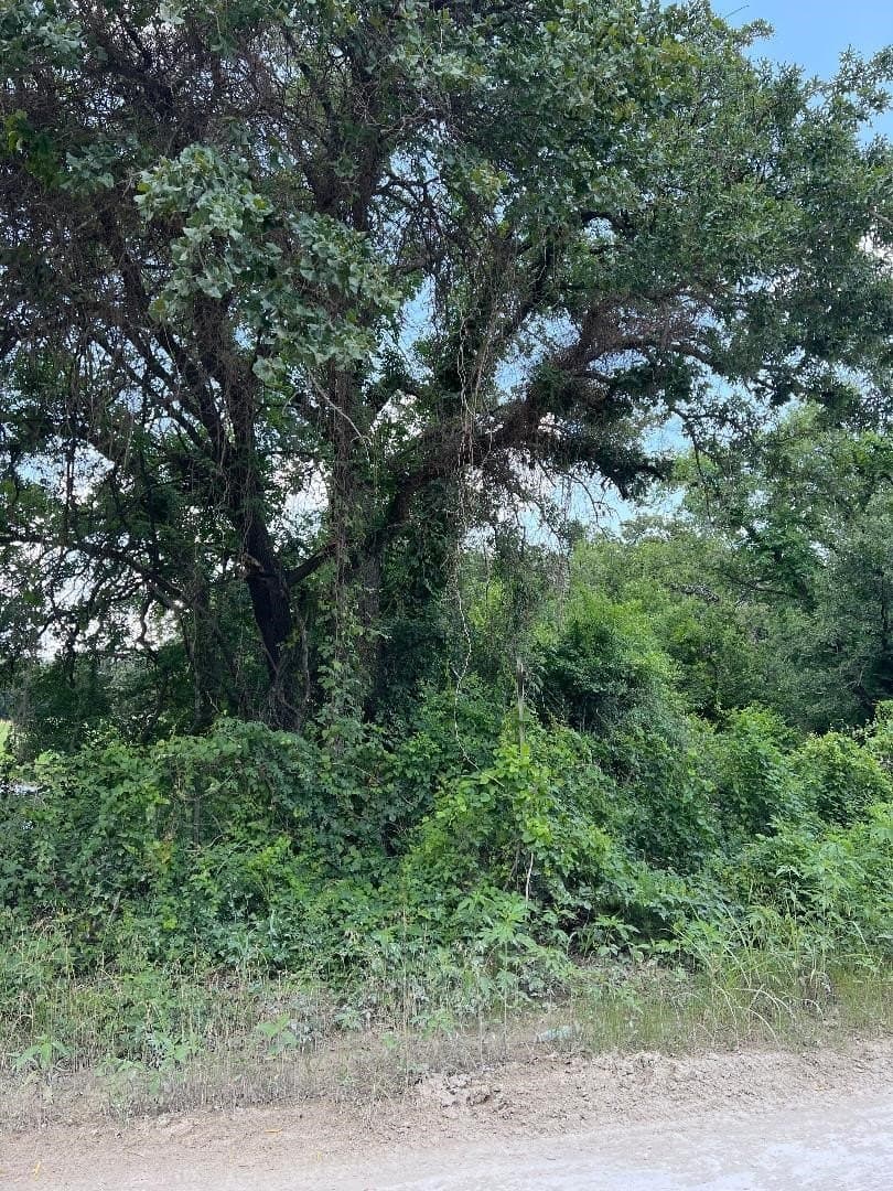15.07 acres in Hill County - photo 4