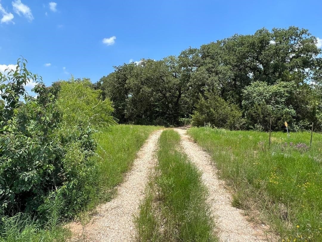 15.07 acres in Hill County - photo 6