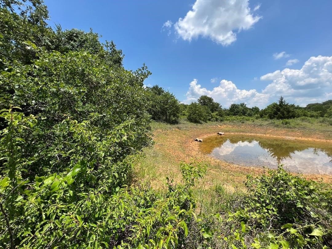 15.07 acres in Hill County - photo 8