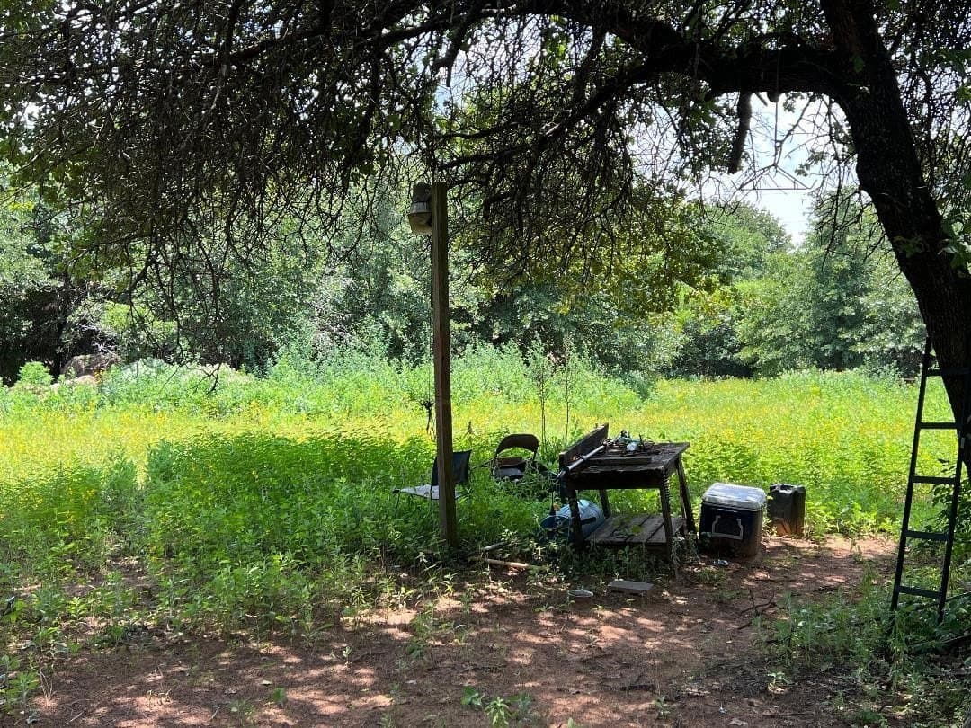 15.07 acres in Hill County - photo 13
