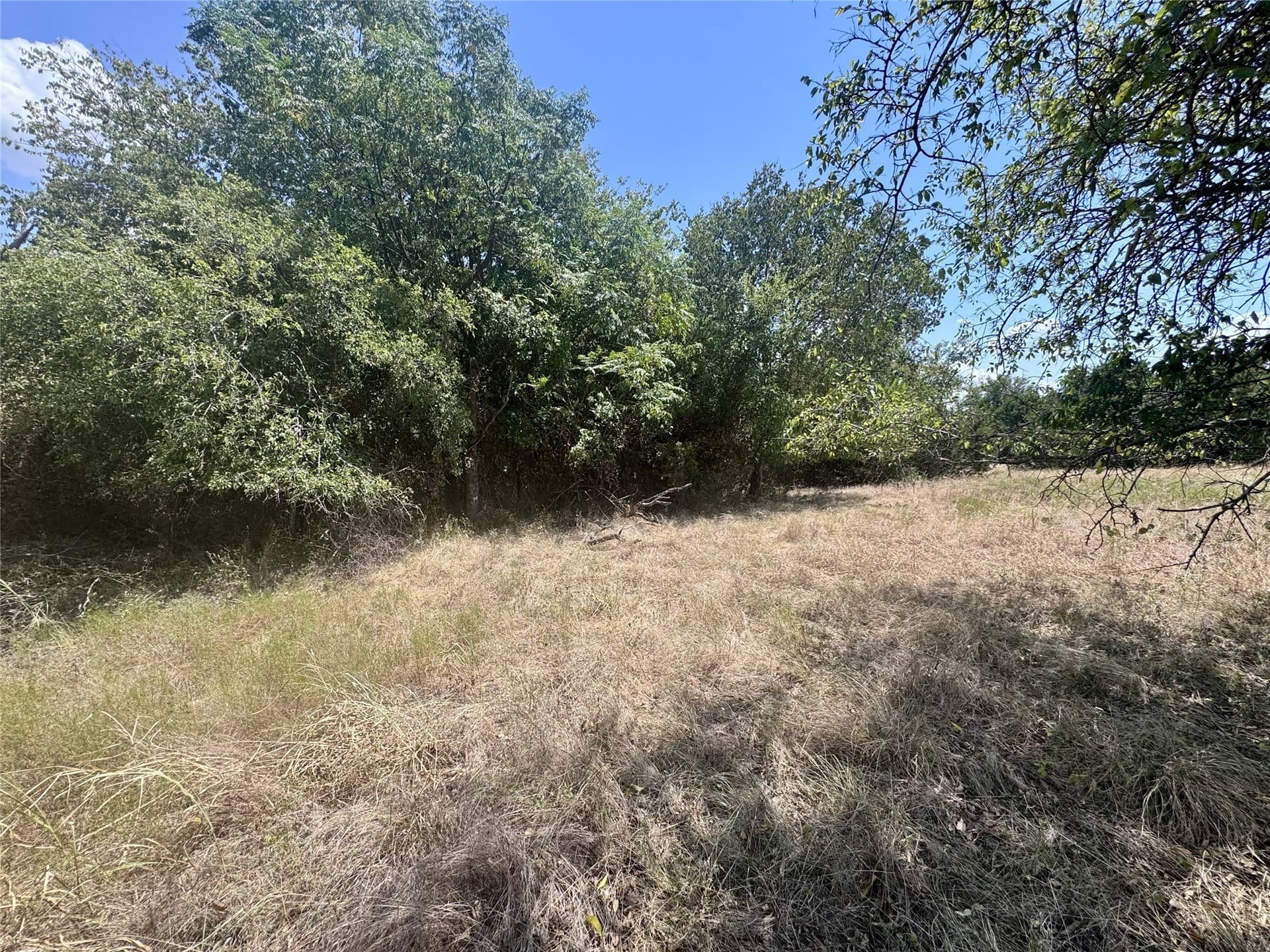 0.35 acres in Hill County - photo 4