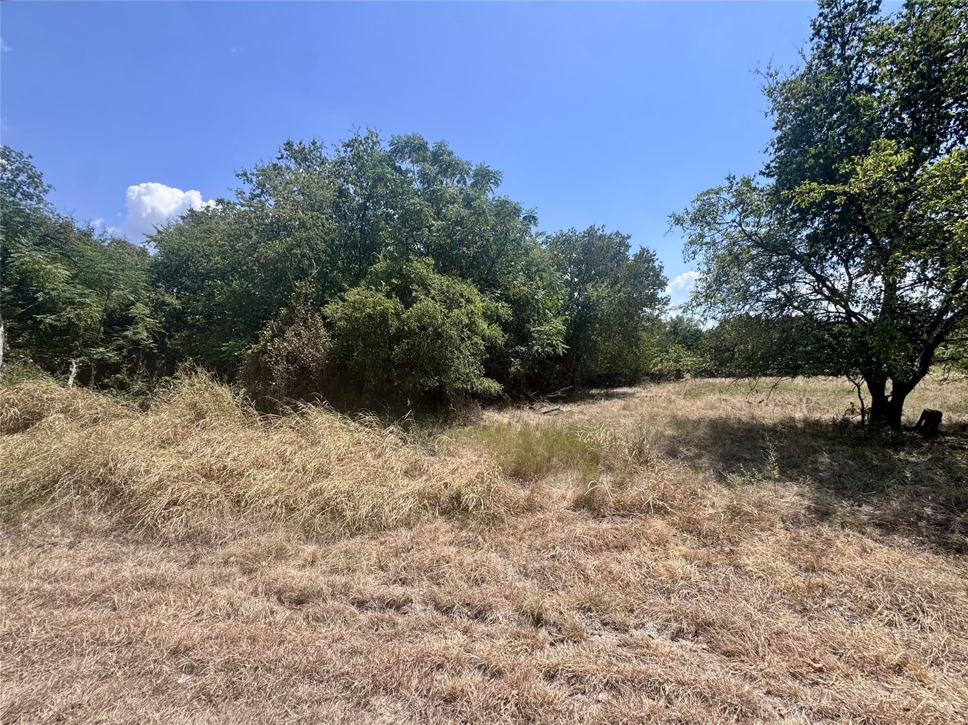 0.35 acres in Hill County - photo 2