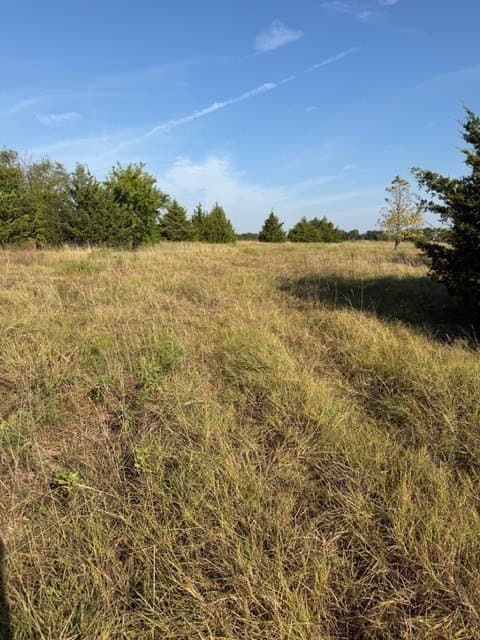 10.1 acres in Hunt County - photo 14