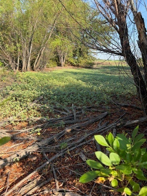 10.1 acres in Hunt County - photo 23
