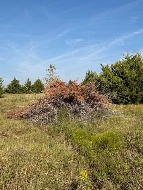 10.1 acres in Hunt County - photo 20