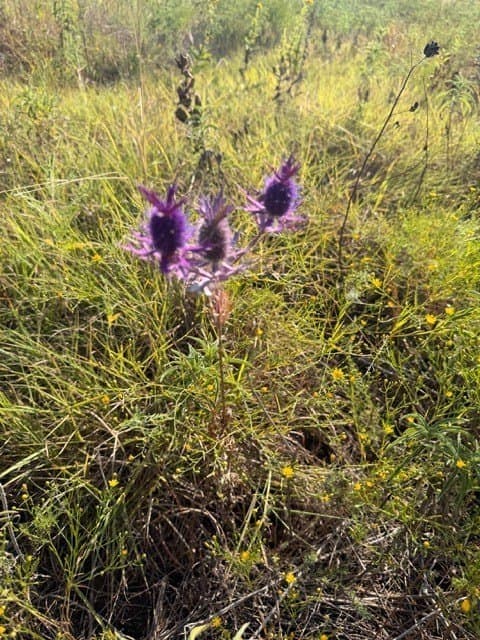 10.1 acres in Hunt County - photo 16