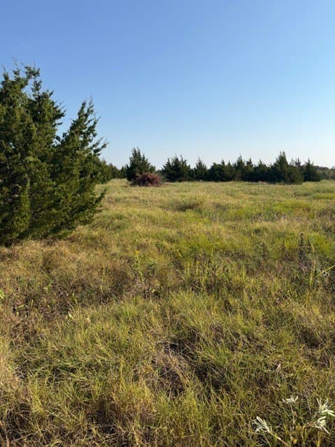 10.1 acres in Hunt County - photo 15
