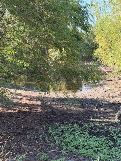 10.1 acres in Hunt County - photo 13