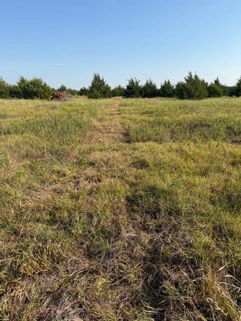 10.1 acres in Hunt County - photo 19