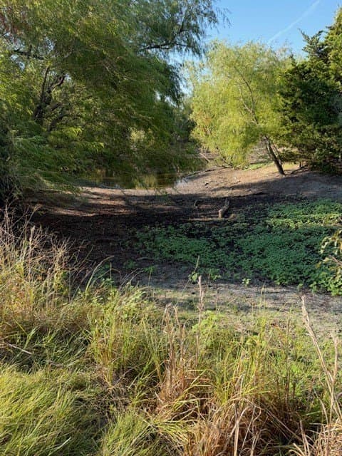 10.1 acres in Hunt County - photo 12