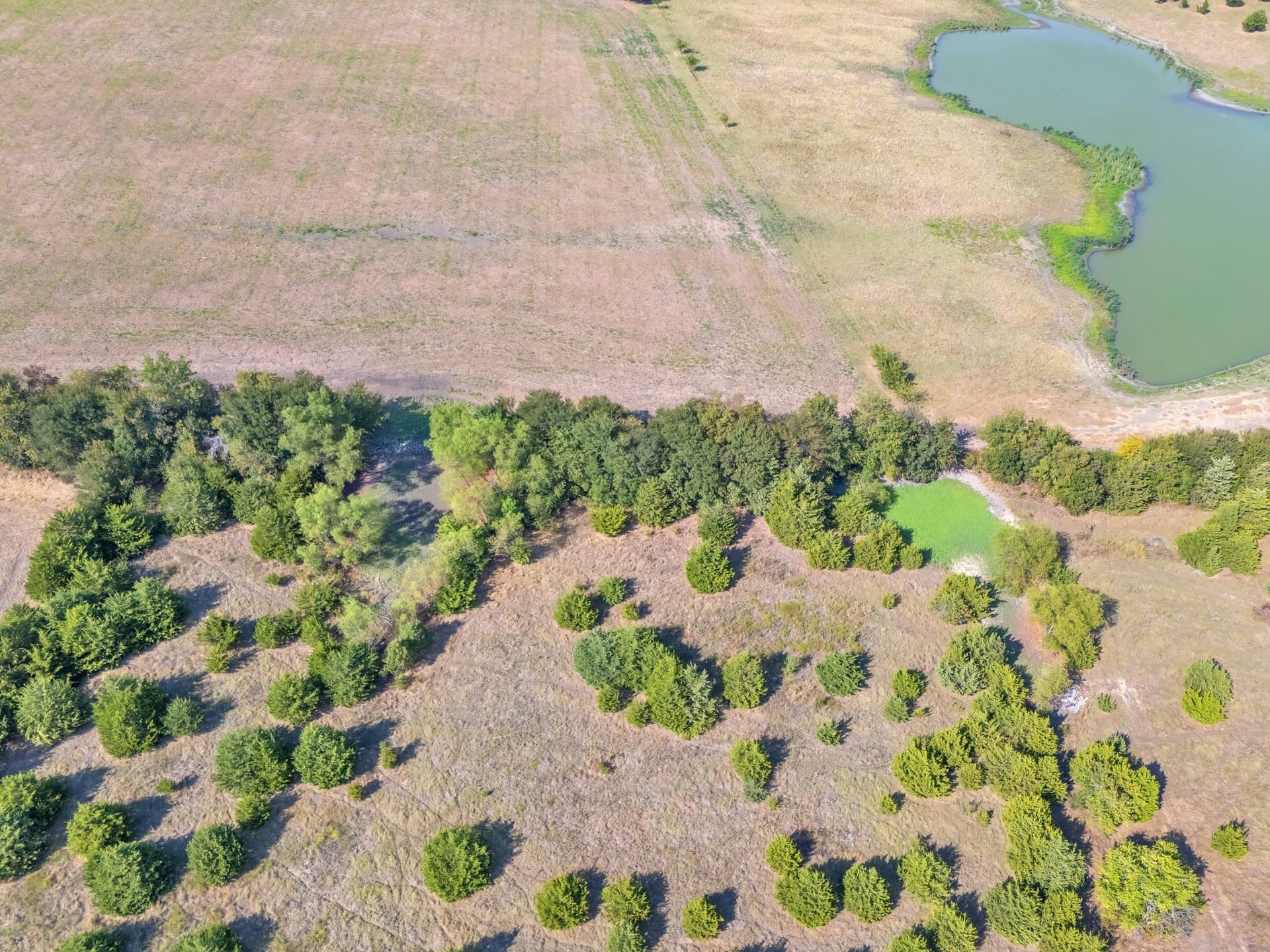 10.1 acres in Hunt County - photo 3