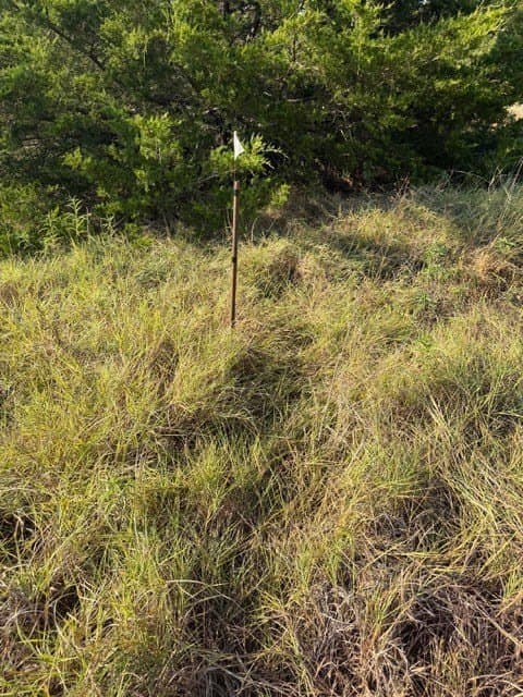 10.1 acres in Hunt County - photo 18