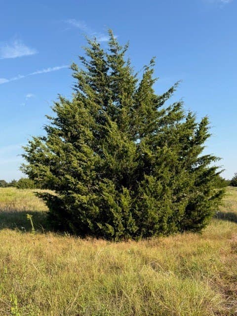 10.1 acres in Hunt County - photo 21