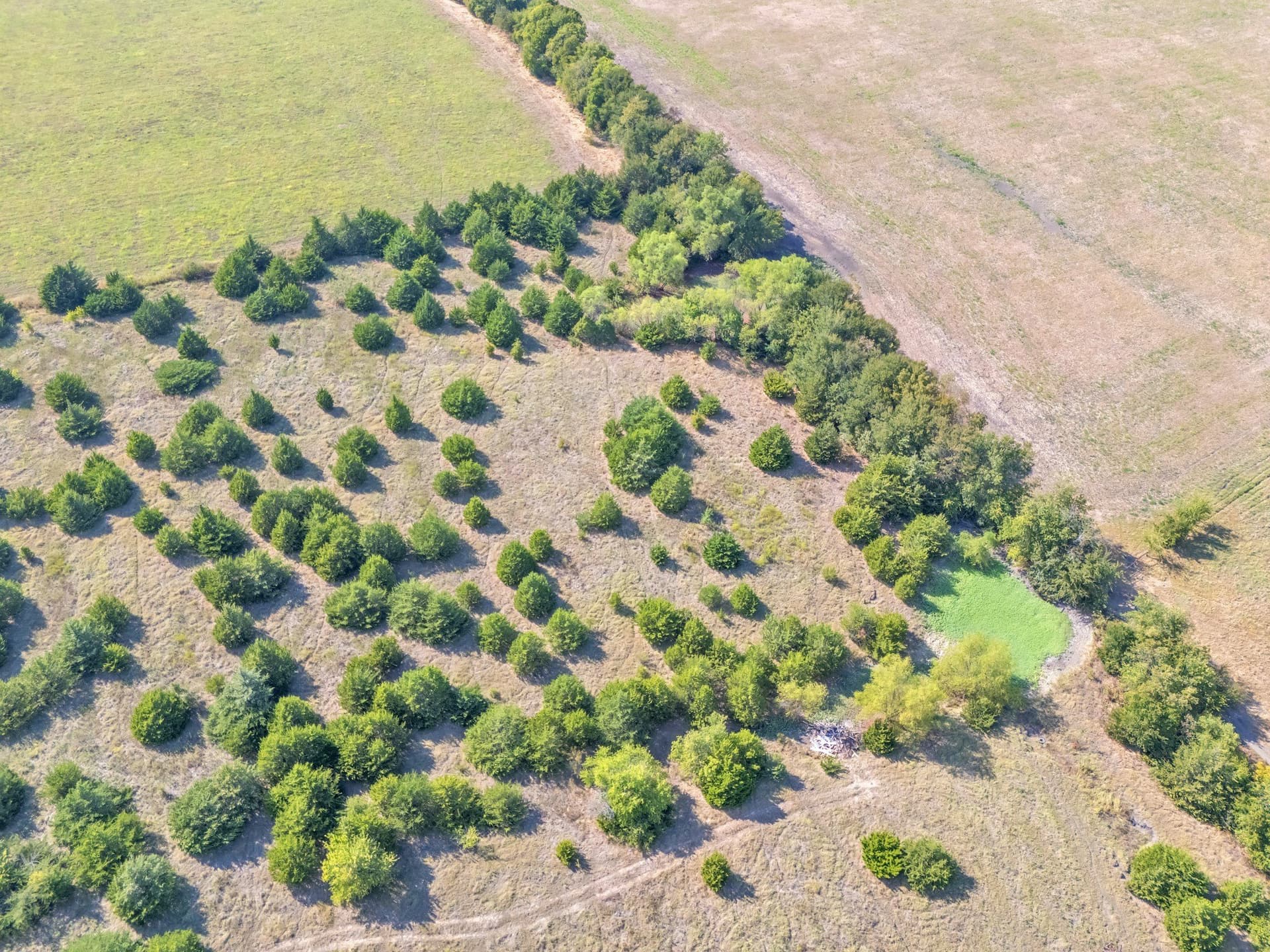 10.1 acres in Hunt County - photo 4