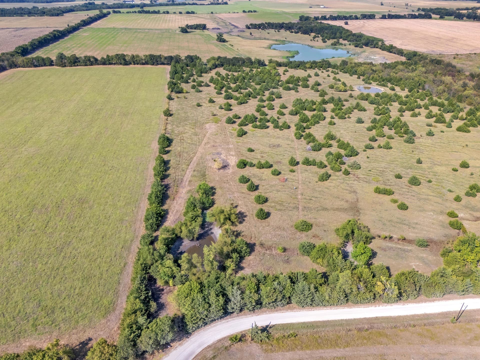 10.1 acres in Hunt County - photo 2